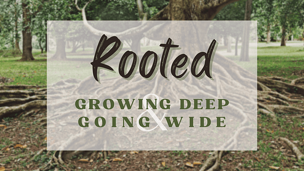 ROOTED: 7 Characteristics of a Lifelong Disciple Image