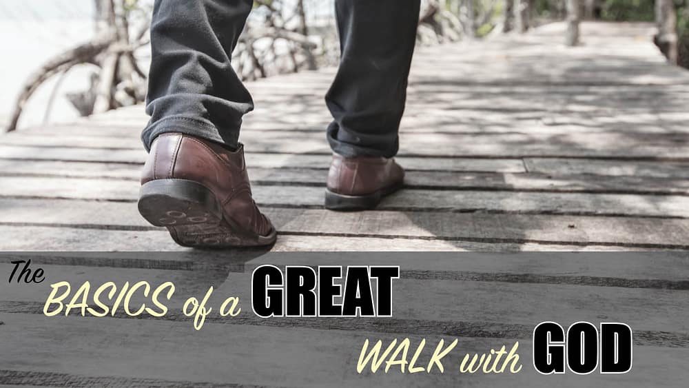 Stirred: Basics to a Great Walk with God
