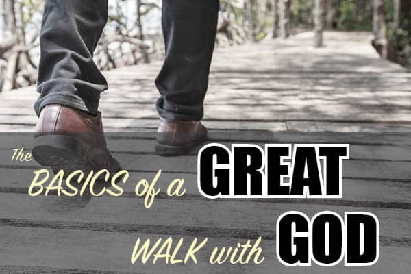 Stirred: Basics of a Great Walk with God...WORSHIP Image